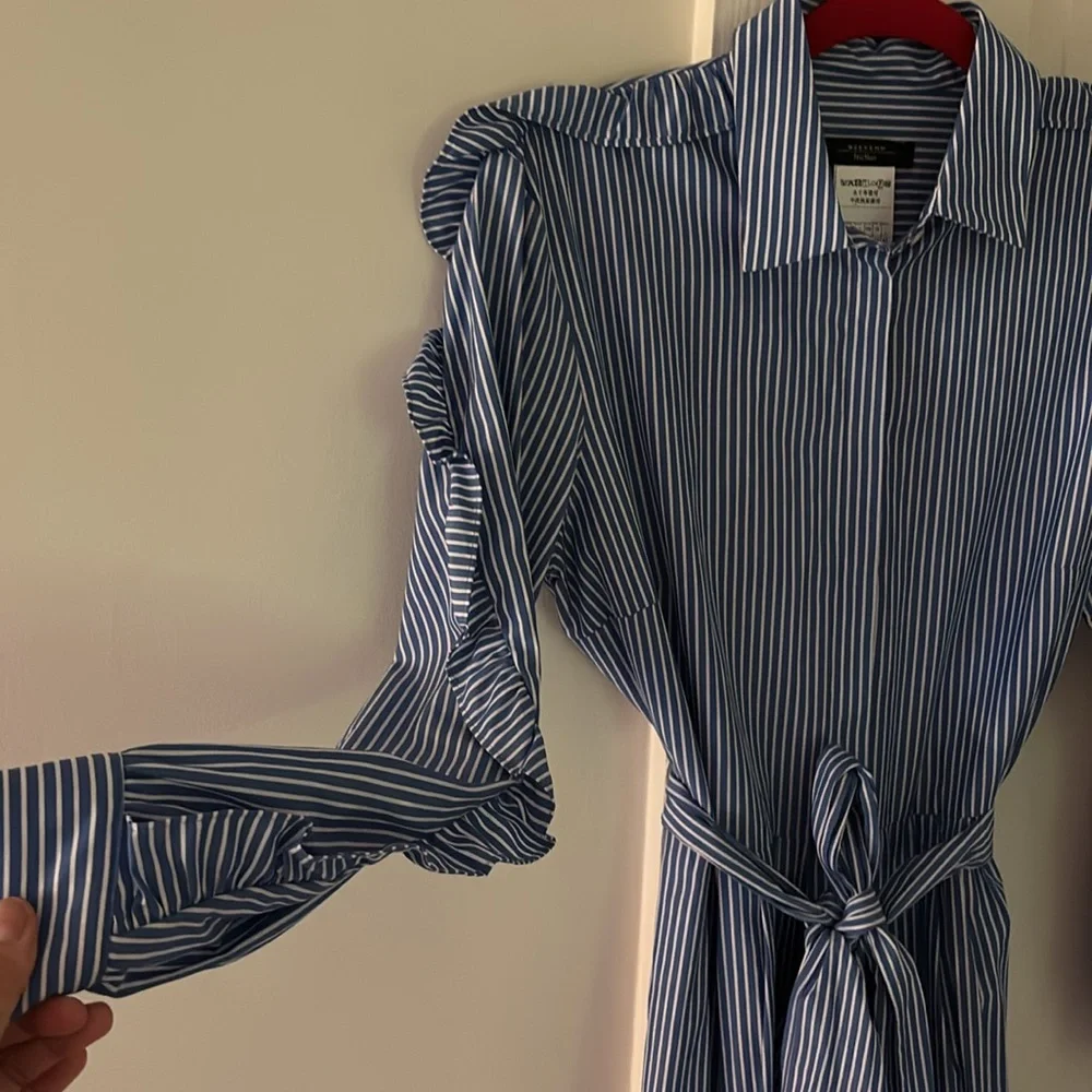 MaxMara Blue stripe Long Sleeve Dress - Picture 3 of 9